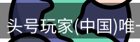头号玩家官网